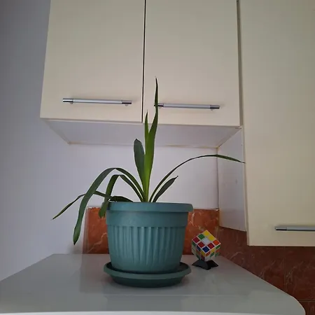 Apartman 8 Belgrad Dış mekan fotoğraf